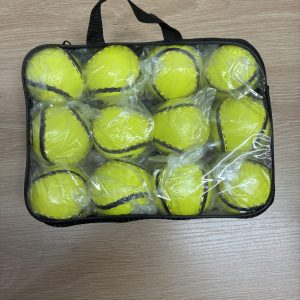 Championship sliotar, size 4  1 Dozen (Fashionstore Branding Sliotar)